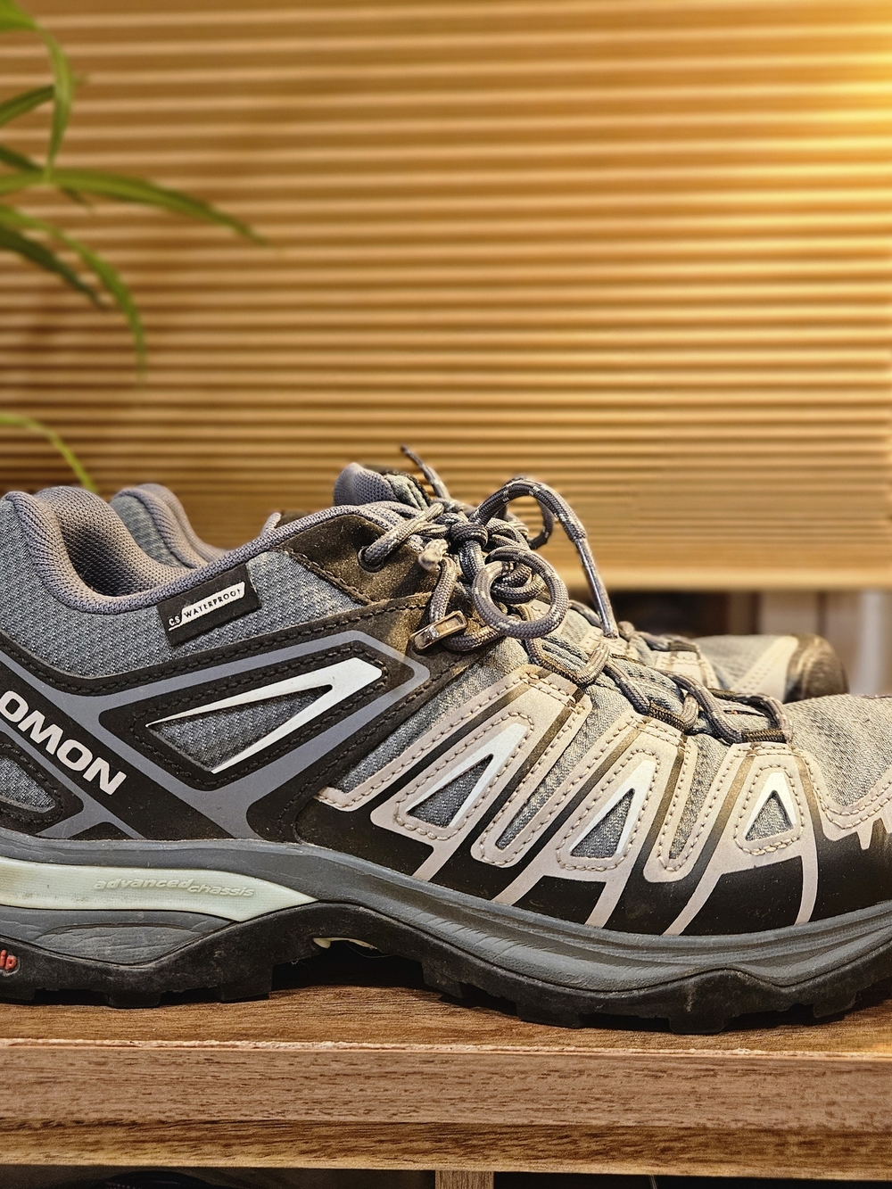 Salomon X Ultra Pioneer GTX Stormy - Picture 4 of 7